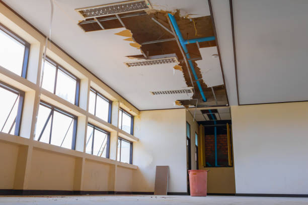 Best Water damage contractors near me  in Livingston, AL