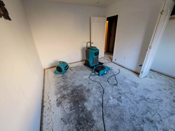 Water damage restoration insurance claims in Livingston, AL