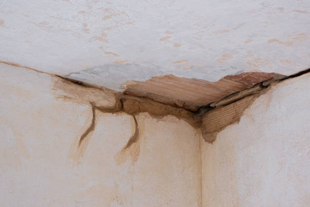 Trusted Livingston, AL Water damage restoration Experts