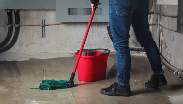 Best 24-hour water damage restoration  in Livingston, AL