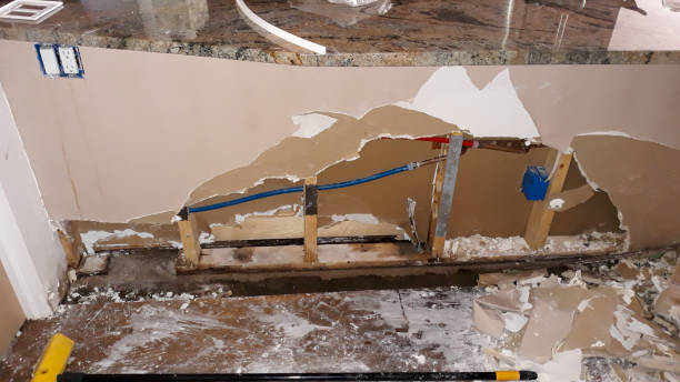 Best Carpet water damage restoration  in Livingston, AL