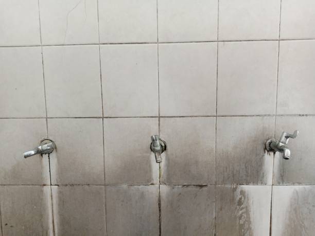 Best Emergency water damage restoration  in Livingston, AL