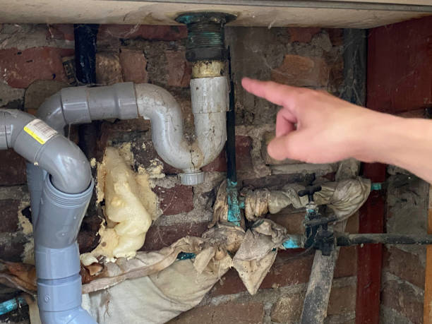 Best Sewage cleanup and water damage restoration  in Livingston, AL